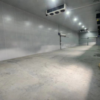 Construction complète d'un grand entrepôt frigorifique, chambre froide industrielle pour le projet de conservation des fruits et légumes
