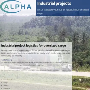 Agente de Transporte Aéreo/Marítimo Profesional para Mercancías Peligrosas y Maquinaria Delicada, con Protección Antichoque y Gran Tamaño - Product Image 2