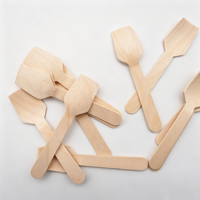 Mini houten lepeltjes, verpakking van 100, wegwerp vierkante proeflepeltjes, lepeltjes voor yoghurt en ijs