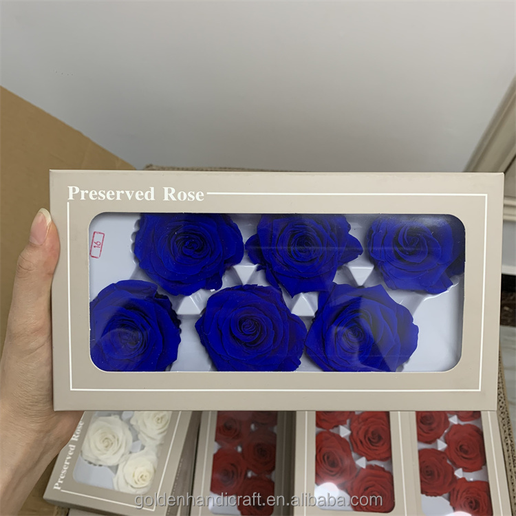 Bleu roi