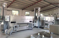 Nouvelle machine à rôtir à four pivotant, chauffage gaz/électrique, haute efficacité, capacité 80-100 kg/h, pour la transformation des cacahuètes et des noix en restaurant