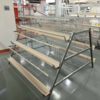 Système d'élevage avicole automatique de type cage à poules pondeuses de qualité fiable pour les élevages de poulets moyens et grands
