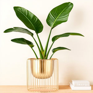 Soporte Moderno para Plantas de Metal Dorado con Base de Jaula de Alambre para Decoración Interior del Hogar - Product Image 4