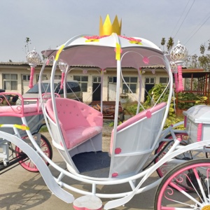 รถม้าไฟฟ้าสุดหรูสำหรับงานแต่งงาน รองรับ 4-6 คน พร้อมยางตัน - Product Image 6