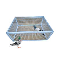 Cage de capture de pigeons de qualité supérieure - Piège à animaux robuste en acier galvanisé pour volailles et élevages - Service de taille personnalisée