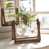 Vase en verre de style Terrarium, pour plantes et accessoires de décoration, vente en gros,