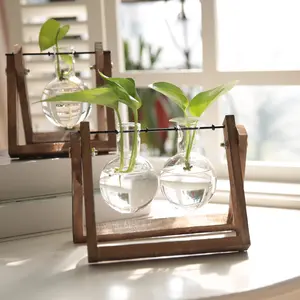 Vaso de vidro suspenso para plantas e acessórios de decoração