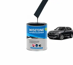 wisetone NO WRINKLING Cheap Price Good Quality Car Paint House Decorative Paint