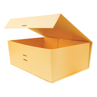 Nouveauté Tushi Fo Boîte cadeau rigide blanche simple et élégante avec fermeture magnétique, ruban imprimé, recyclable