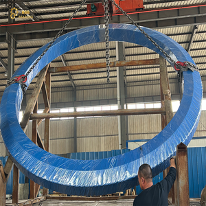 Rodamiento de Giro de Doble Hilera con Contacto de Cuatro Puntos, de Alta Resistencia, Gran Diámetro, de Acero, 10,000 Nm de Momento - Product Image 6