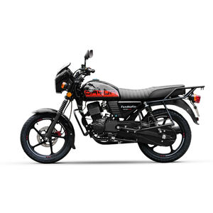 DaYun DY150-26F 150cc İş Motosikleti EDF Motor 13L Depo Arka Taşıyıcı Max Serisi İthalatçı Distribütör İçin Toptan Satış - Product Image 3