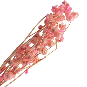 Wholesale Event Decorations Resin Art Real Natural Immortal <strong>Dried</strong> <strong>Plants</strong> and Preserved Flowers - Product Image 2