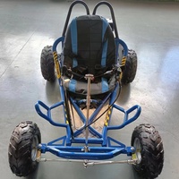 Mini Buggy Tout-Terrain 6,5 CV 196 CC pour Drifting sur Herbe et Cross-Country – Excitation Assurée dans le Monde du Sport Automobile