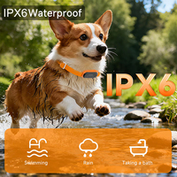 Localisateur intelligent pour animaux de compagnie 4G en temps réel, étanche, pour chat et chien, suivi de la santé et du sommeil, collier GPS pour animaux de compagnie