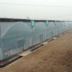 Serre agricole multi-campata automatiche ad arco multiplo con serre per attrezzature idroponiche