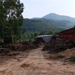 Restaurant Grade White <b>Charcoal</b> Binchotan Produced from 100% Natural Eucalyptus Wood - Product Image 5