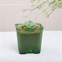 Pot Pembibitan Plastik Transparan Putih Hitam 10*9.5CM, Pot Mini dengan Lubang Drainase, Pot Persegi Bening untuk Sukulen dan Kaktus