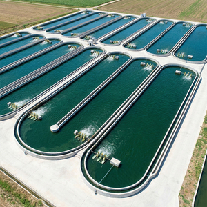 Bubuk Ekstrak Spirulina Liar Alami Kandungan Tinggi Fikosianin+Polisakarida Spirulina+Beta-Karoten Meningkatkan Imunitas Kesehatan - Product Image 3