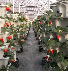 Erba di fiori 6-tier auto-innaffiante impilamento vaso per piantare torre di plastica impilabile verticale giardinaggio fragola fioriera