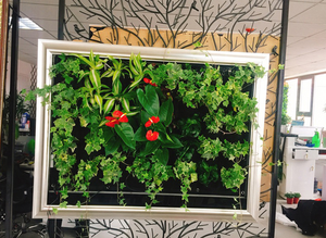 Bolsas de cultivo de plantas de jardín de pared verde Vertical al aire libre de 36 bolsillos, bolsa colgante de plantas para apartamentos - Product Image 3