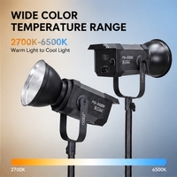 Panneau lumineux LED COB 300W avec gradation DMX, écran LCD HD, CRI élevé Ra 97, température de couleur réglable pour les tournages en studio et sur site