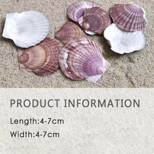 Assiette <span class=keywords><strong>en</strong></span> coquilles de cuisson, de qualité pour Restaurant, art nautique, grand plat pour barbecue, résistant aux hautes températures, g - Product Image 5