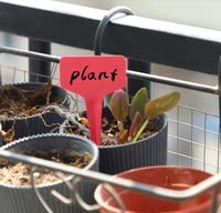Étiquettes de plantes en plastique imperméables de pépinière étiquettes de plantes de jardin piquets marqueurs de pot multicolore