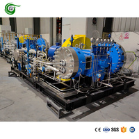 Compresor de Diafragma de Dióxido de Azufre SO2 de Rendimiento Estable, Entrada 15 Bar, Salida 250 Bar, Flujo 500 Nm3/h, Máquina Industrial