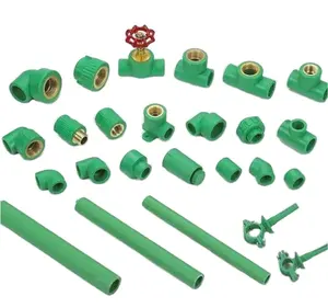 Coude PPR de couleur verte du fabricant/té/accouplement/prise réduite
