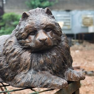Belle Bronze Chow Sculpture Statue de Jardin - Product Image 4