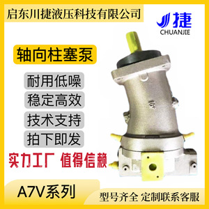 ปั๊มไฮดรอลิกแบบลูกสูบแกนหมุน Chuan Jie A7V160LV1RPF00 350 บาร์ 1 สเตจ ปรับอัตราการไหลได้ สำหรับใช้งานทางทะเลและอุตสาหกรรม - Product Image 3
