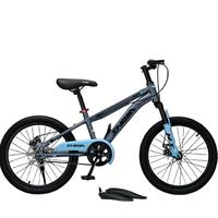 Vélos de montagne pour adultes, nouveau modèle de vélo/cyclisme/VTT fabriqué en Chine, vélo adulte rapide et économique