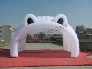 Túnel inflable gigante personalizado para entrada de eventos promocionales de puerta exterior y feria comercial y publicidad - Product Image 5