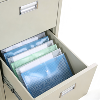 Carpeta de Plástico con Botón de Cierre, Tamaño A4, Impermeable, Transparente, para Documentos, Oficina, Estudiantes, Almacenamiento