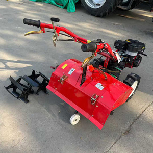 Motoculteur <span class=keywords><strong>à</strong></span> essence haute efficacité avec lame rotative pour serres et terres agricoles - Product Image 3