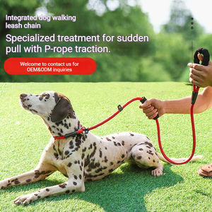 Correa de Nailon Resistente a Roturas para Perros con Cinta Reflectante, Correa para Caminar al Aire Libre, Mango de Espuma Suave y Collar de Control Rápido - Product Image 2