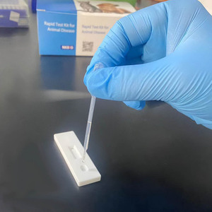 Kits <span class=keywords><strong>ELISA</strong></span> para el diagnóstico de la rinotraqueitis bovina infecciosa (IBR) en bovinos y búfalos - Product Image 4