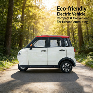 Véhicule électrique domestique à trois roues fermé pour trajets urbains, écoénergétique et à faible consommation de carburant, 1000W+30-50Km/h, pour 3 personnes - Product Image 1