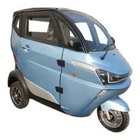 1500W חשמלי תלת אופן משפחה 80km חשמלי Trike אופנועים למכירה