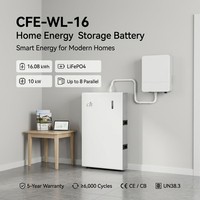 Batterie solaire LFP haute sécurité à cellules séparées CFE-WL-16 5KWH 10KWH 16KWH 51.2V 314Ah CAN, protection multiple, pour système de stockage d'énergie domestique (ESS) CE IP20