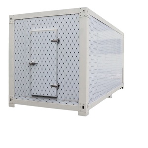 Conteneur de maturation de bananes à compresseur Hitachi à faible consommation d'énergie, <span class=keywords><strong>chambre</strong></span> de maturation, 10 tonnes, entrepôt frigorifique - Product Image 3
