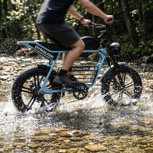 Vélo électrique tout-terrain à pneus larges avec pneus amortisseurs, vélo électrique polyvalent pour les chemins en terre et en asphalte - Product Image 6