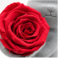 Rose éternelle en stock avec ours en peluche – Cadeau romantique pour la Saint-Valentin, Qixi, anniversaire, demande en mariage