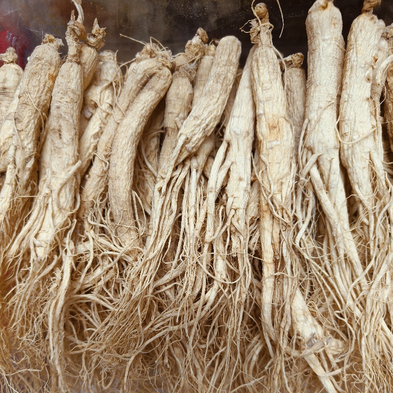 High Quality Renshen Chinese Herbal Medicine Dried Raw Ginseng Root with AD Drying Process Agriculture Product