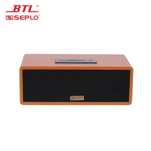 China Factory New Product Professional Karaoke Player Home Theater Support BT/ AUX / XLR / RCA / USB / Home Speaker