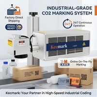 Machine de marquage laser CO2 à impulsions, haute sécurité, pour le codage de la date sur textiles, cartons et bouteilles de boissons, certifiée CE ISO