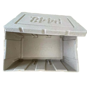 Moulded Pulp Packaging Molded Pulp China Factory Custom Moulded Pulp Shoe Box Biodegradable Eco-friendly Packaging Box