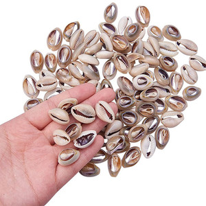 Gran oferta de conchas naturales de cauri, cuentas de concha abierta, conchas marinas de cauri para la fabricación de joyas, artesanías naturales - Product Image 3