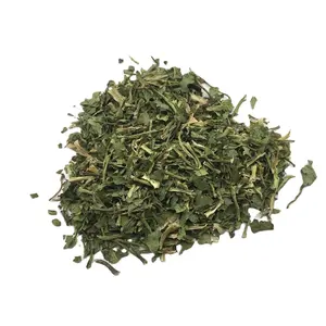 Hojas de cilantro de grado alimenticio, hierbas y especias individuales, hojas secas verdes, 10MT/20FCL, 20 kg/cartón, 20Kg