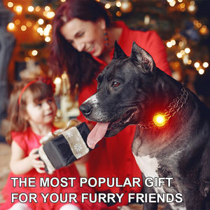 UMIONE Moderne <span class=keywords><strong>LED</strong></span> Hondentuiglamp met Glimmende Rode/Blauwe <span class=keywords><strong>LED</strong></span>'s voor Veilige Nachtelijke Wandelingen - Huisdierlamp - Product Image 6